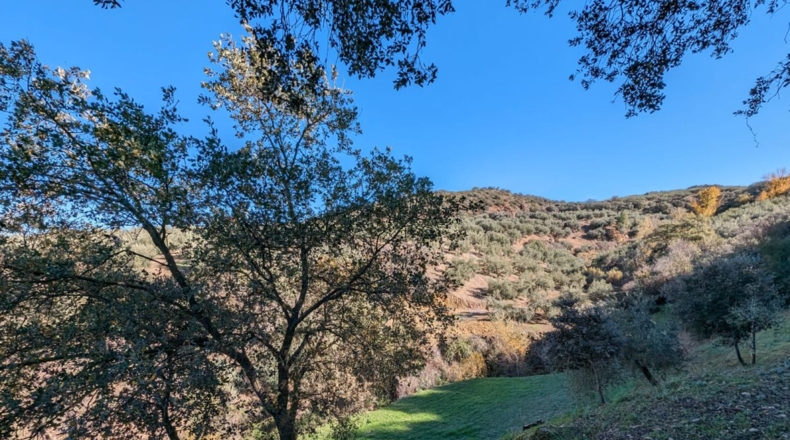 Granada - Santa Fe - 3456m2