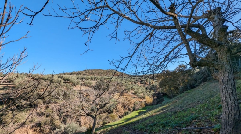 Granada - Santa Fe - 3456m2