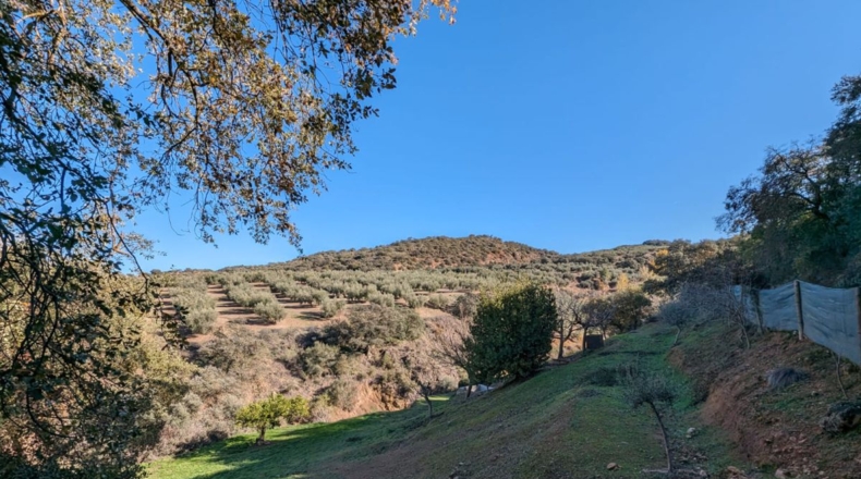 Granada - Santa Fe - 3456m2