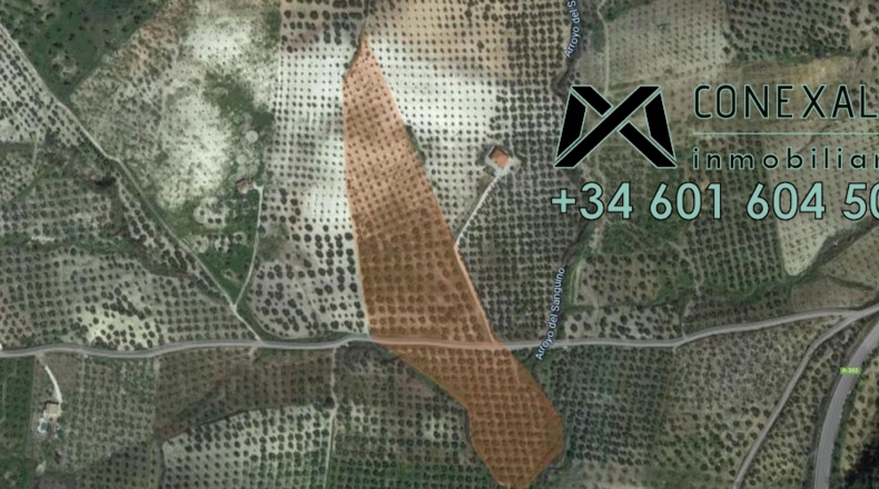Seville - Pruna - 33157m2