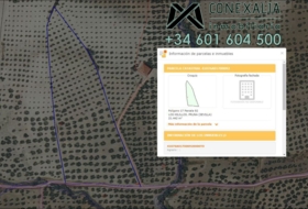 Pruna 33157&nbsp;m²