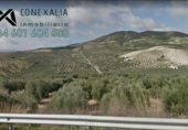 Terreno no urbanizable en venta en la España, Pruna, ref: TR386356 foto