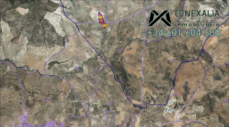 Seville - Pruna - 33157m2