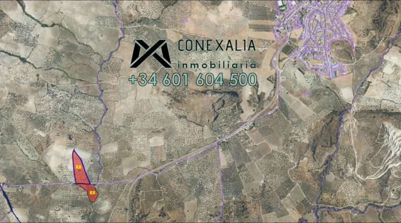 Seville - Pruna - 33157m2