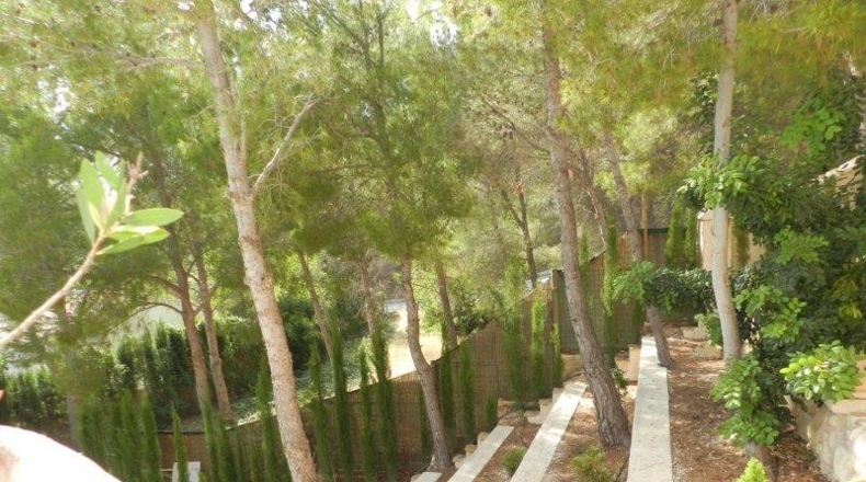 Comunidad de Madrid - Alcalá de Henares - 1200m2