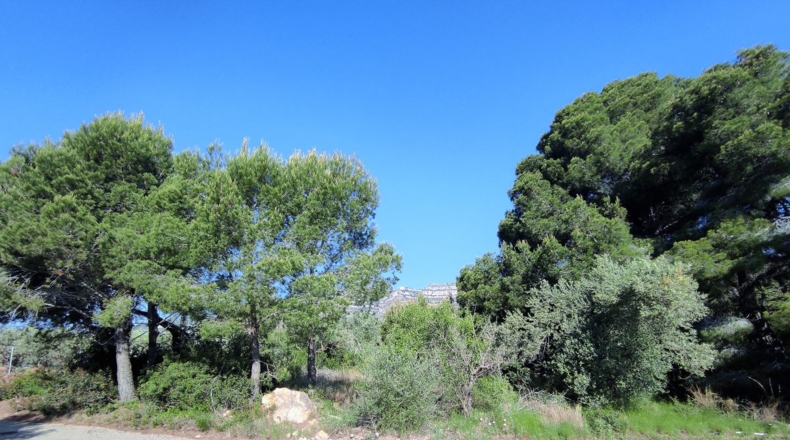 Teruel - Alcañiz - 4217m2
