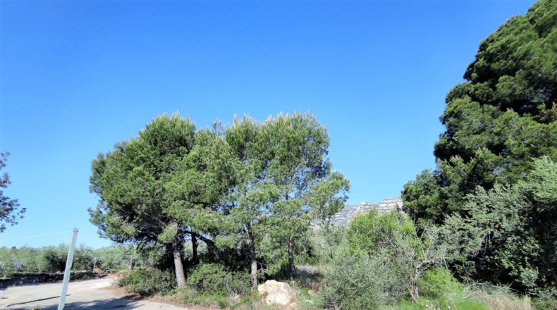 Teruel - Alcañiz - 4217m2