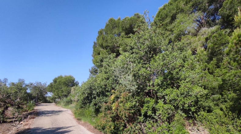 Teruel - Alcañiz - 4217m2