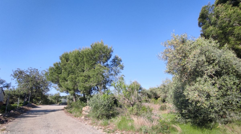 Teruel - Alcañiz - 4217m2