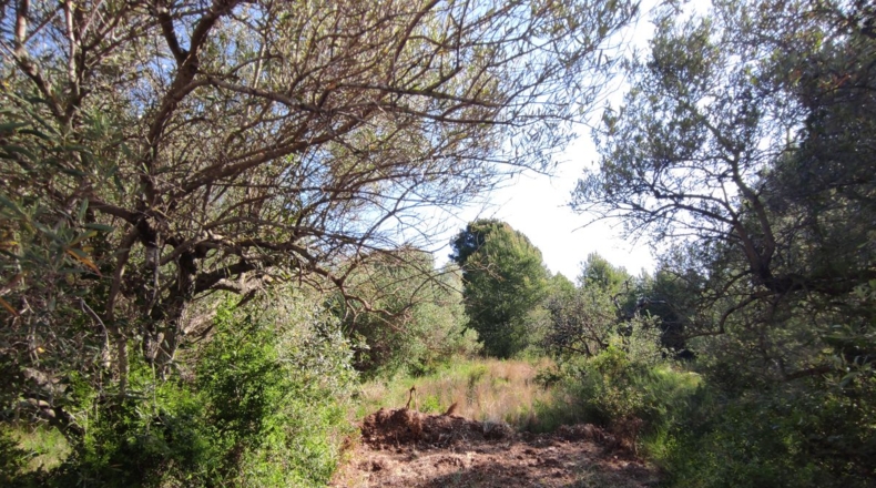 Teruel - Alcañiz - 4217m2