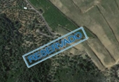 Terreno no urbanizable en venta en Amposta ref: TR385883 foto