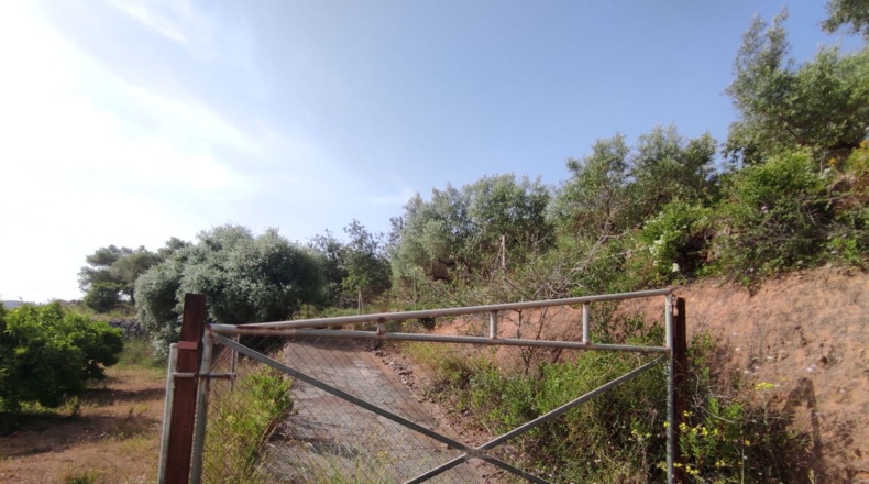 Tarragona - Amposta - 28000m2