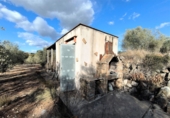 Terreno no urbanizable en venta en Freginals ref: TR386734 foto