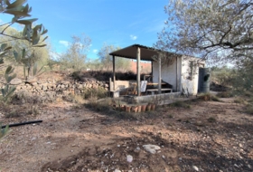 Freginals 7000&nbsp;м²