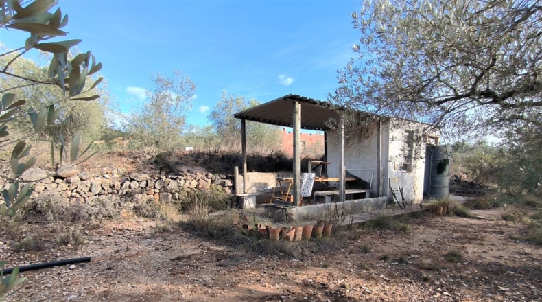 Tarragona - Freginals - 7000m2