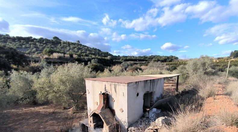 Tarragona - Freginals - 7000m2