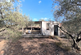 Freginals 7000&nbsp;м²