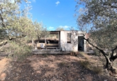 Terreno no urbanizable en venta en Freginals ref: TR386734 foto