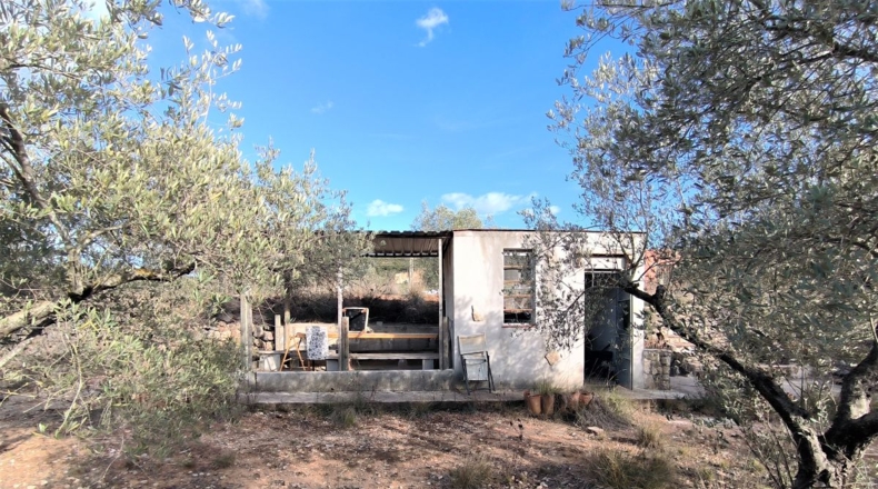 Tarragona - Freginals - 7000m2