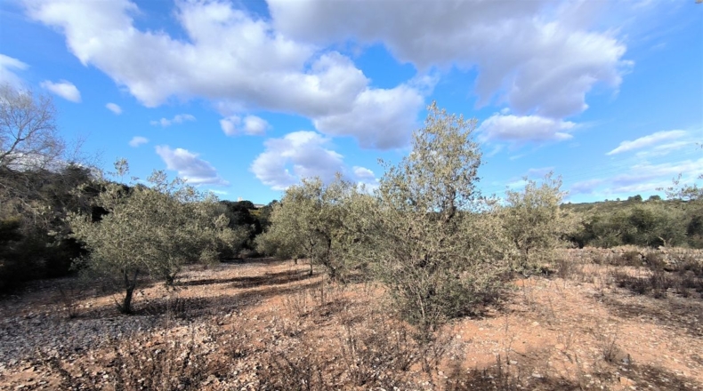 Tarragona - Freginals - 7000m2