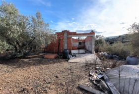 Freginals 7000&nbsp;м²