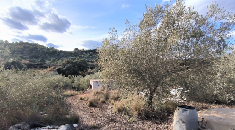 Tarragona - Freginals - 7000m2