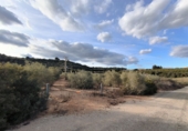 Terreno no urbanizable en venta en Freginals ref: TR386734 foto