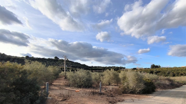 Tarragona - Freginals - 7000m2