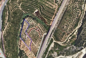 Freginals 7000&nbsp;м²