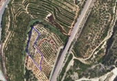 Terreno no urbanizable en venta en Freginals ref: TR386734 foto