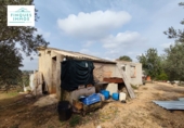 Terreno no urbanizable en venta en Santa Bàrbara ref: TR385859 foto