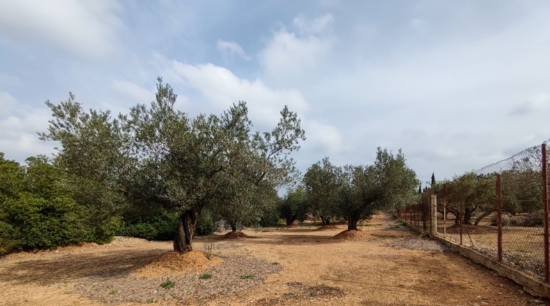Tarragona - Santa Bàrbara - 10700m2