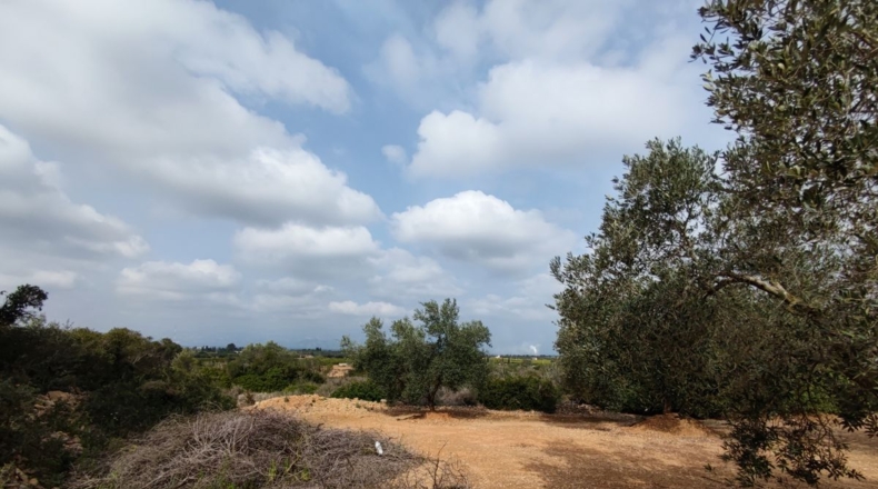Tarragona - Santa Bàrbara - 10700m2