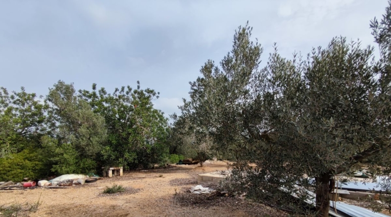 Tarragona - Santa Bàrbara - 10700m2