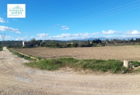 Amposta 8000&nbsp;м²