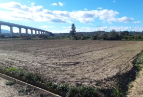 Amposta 8000&nbsp;м²