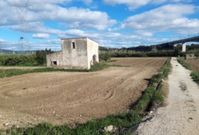 Amposta 8000&nbsp;м²