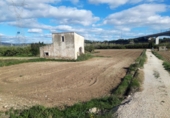 Terreno no urbanizable en venta en Amposta ref: TR386404 foto