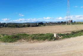 Amposta 8000&nbsp;м²