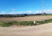 Terreno no urbanizable en venta en Amposta ref: TR386404 foto
