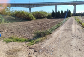 Amposta 8000&nbsp;м²
