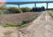 Terreno no urbanizable en venta en Amposta ref: TR386404 foto