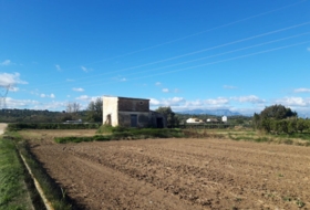 Amposta 8000&nbsp;м²