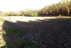 Amposta 8000&nbsp;м²