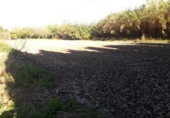Terreno no urbanizable en venta en Amposta ref: TR386404 foto