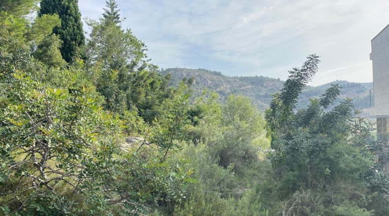 Castellón - Castellón de la Plana - 564m2