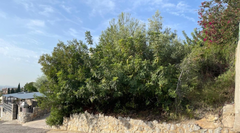 Castellón - Castellón de la Plana - 564m2
