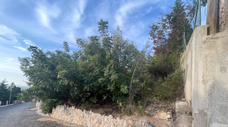 Castellón - Castellón de la Plana - 564m2