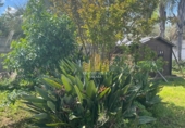 Detached villa with land for sale in Carmona ref: TR386300 photo