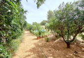 Xalet independent amb terreny en venda a Alcalá de Guadaíra ref.: TR386795 foto
